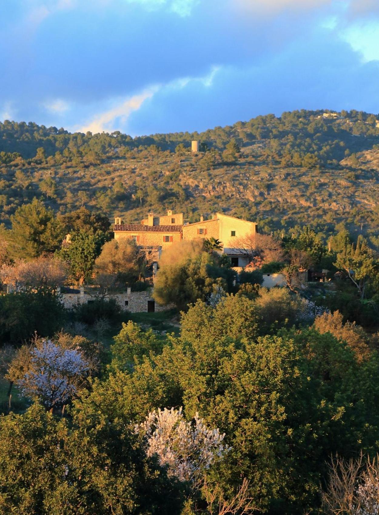 Son Malero Guest House Calvia  Bagian luar foto